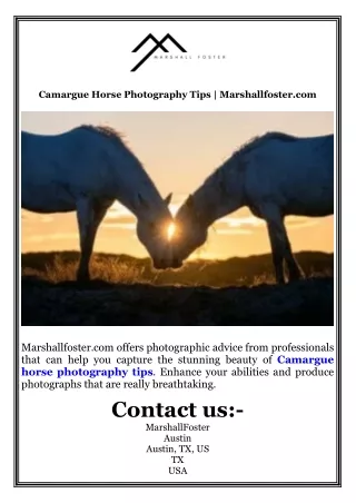 Camargue Horse Photography Tips  Marshallfoster.com