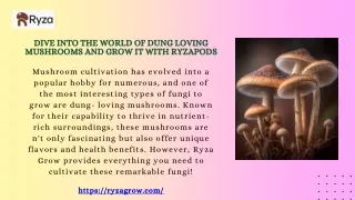 Dive Into the World of Dung Loving Mushrooms and Grow It with Ryzapods