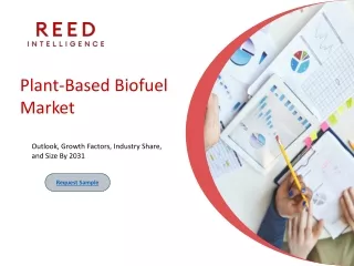 Plant-Based Biofuel Market