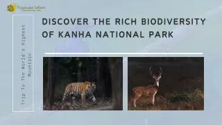 Discover the Rich Biodiversity of Kanha National Park