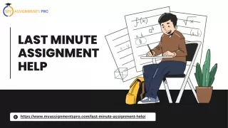 Last Minute Assignment Help | Myassignmentpro