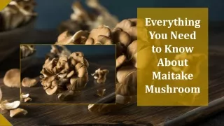 Everything You Need to Know About Maitake Mushroom
