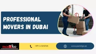 professional movers in dubai