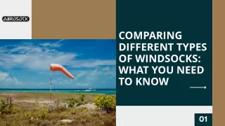 Comparing Different Types of Windsocks: What You Need to Know