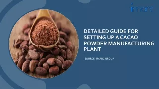 Detailed Report On Cacao Powder Manufacturing Unit