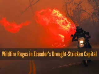 Wildfire rages in Ecuador