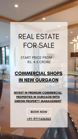 Commercial shops in new Gurgaon