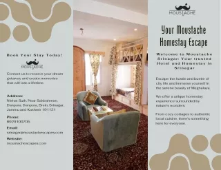 Best Hotel and Homestay in Srinagar - Moustache Escapes