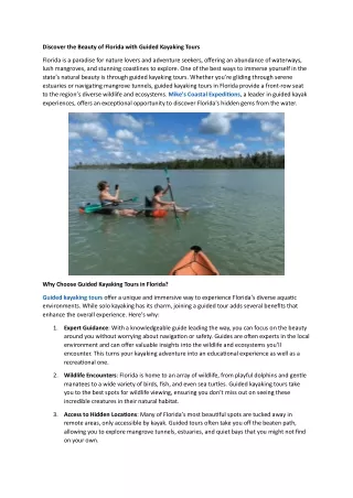 Discover the Beauty of Florida with Guided Kayaking Tours