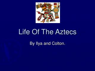 Life Of The Aztecs