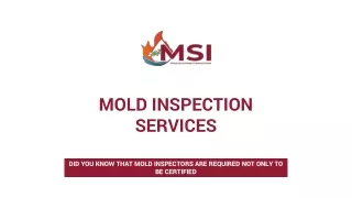 MSI Offers Professional Mold Inspection Services