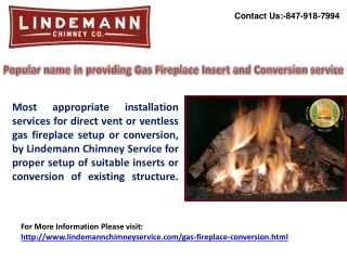 Popular name in providing Gas Fireplace Insert and Conversio