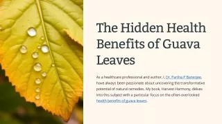 Dr. Partha Banerjee Shares The Health Benefits of Guava Leaves