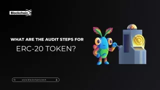 What are the Audit Steps for ERC-20 Token