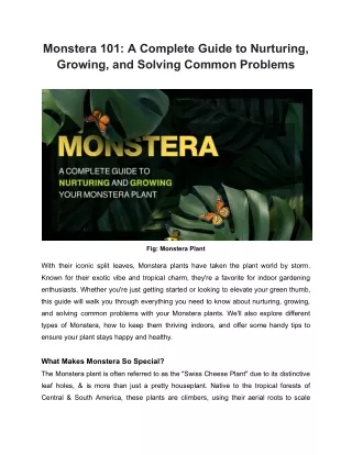 Monstera 101: A Complete Guide to Nurturing, Growing, and Solving Common Problem