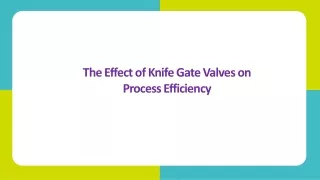 The Effect of Knife Gate Valves on Process Efficiency