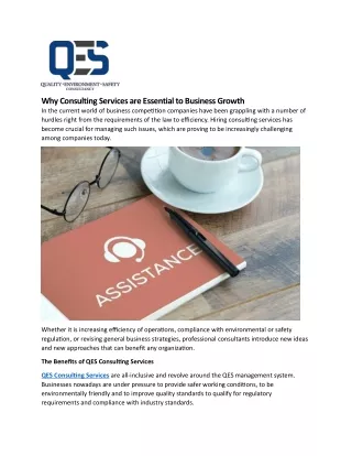 Why Consulting Services are Essential to Business Growth (2)
