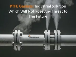 PTFE Gaskets Industrial Solution Which Will Not Pose Any Threat to The Future