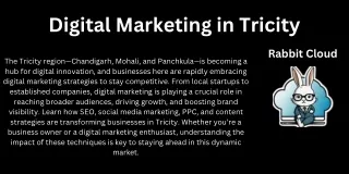 Digital Marketing in Tricity: Elevate Your Brand with Proven Strategies