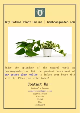 Buy Pothos Plant Online  Gamboasgarden.com