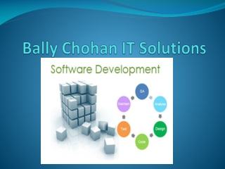 Bally Chohan IT Solutions