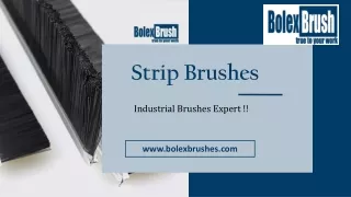 Strip Brushes