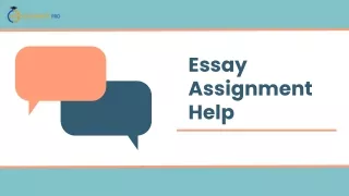 Essay Assignment Help | Myassignmentpro