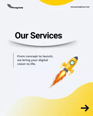 Our Services