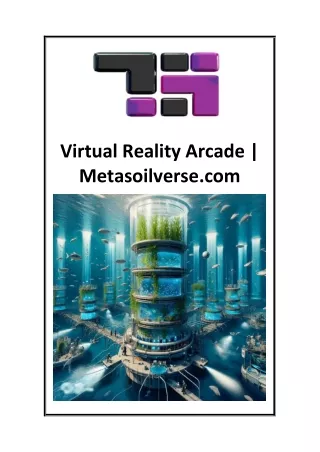 Virtual Reality Arcade  Metasoilverse.com