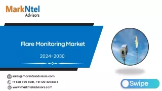 Global Flare Monitoring Market Research Report Forecast (2024-2030)