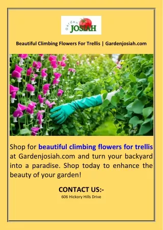 Beautiful Climbing Flowers For Trellis  Gardenjosiah.com