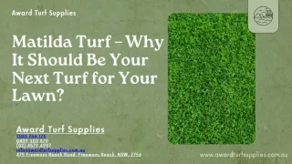 Matilda Turf – Why It Should Be Your Next Turf for Your Lawn