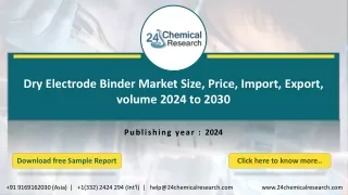 Global Dry Electrode Binder Market Research Report 2024-2030 (Status and Outlook)