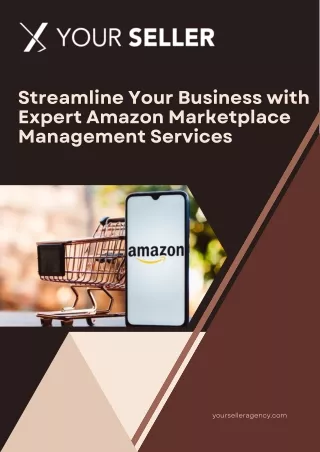 Streamline Your Business with Expert Amazon Marketplace Management Services