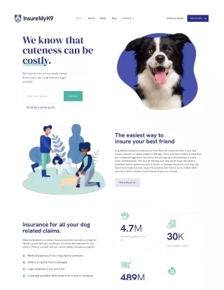 Dog Insurance Florida