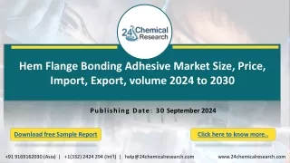 Hem Flange Bonding Adhesive Market, Global Outlook and Forecast 2023-2029