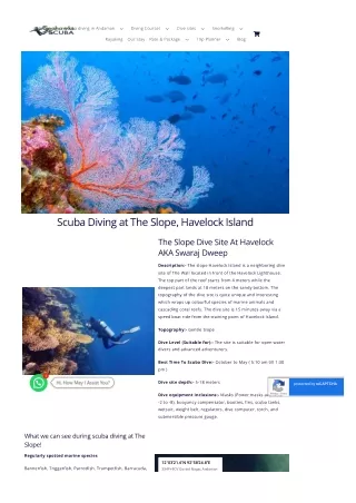 Explore The Slope dive site in Havelock Island (Swaraj Dweep)