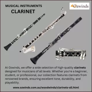 woodwinds clarinets instruments for sale