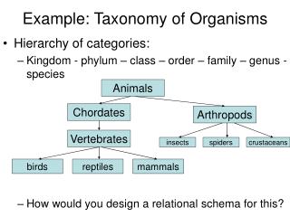 Example: Taxonomy of Organisms