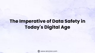 The Imperative of Data Safety in Today's Digital Age