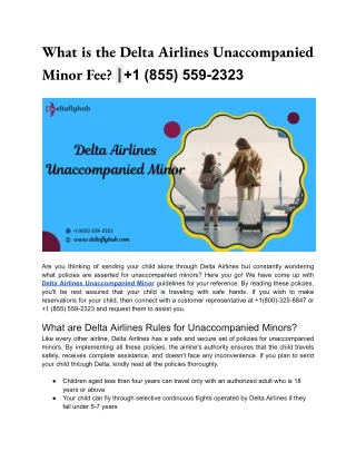 Delta Airlines Unaccompanied Minor