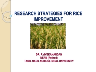 RESEARCH STRATEGIES FOR RICE IMPROVEMENT