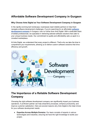 Affordable Software Development Company in Gurgaon - Ants Digital