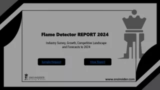 Flame Detector Market : A View of the Industry's Advancements and Opportunities
