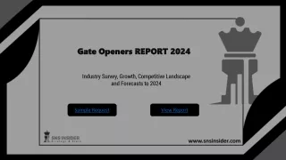 Gate Openers Market: A Study of the Key Players and Their Strategies