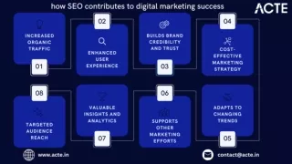how SEO contributes to digital marketing success- ACTE