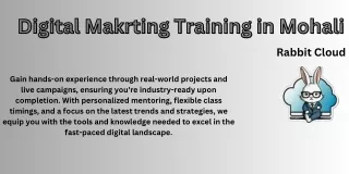 Professional Digital Marketing Training in Mohali: Master the Skills for Success