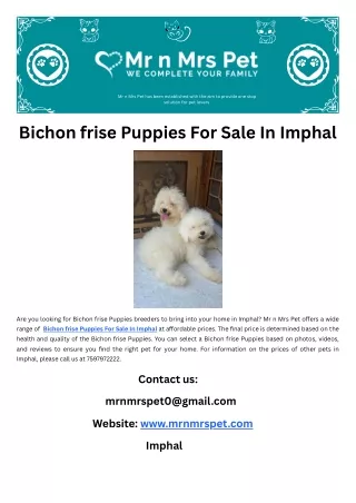 Bichon frise Puppies For Sale In Imphal