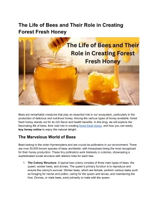 The Life of Bees and Their Role in Creating Forest Fresh Honey