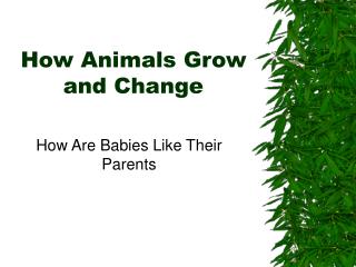 How Animals Grow and Change